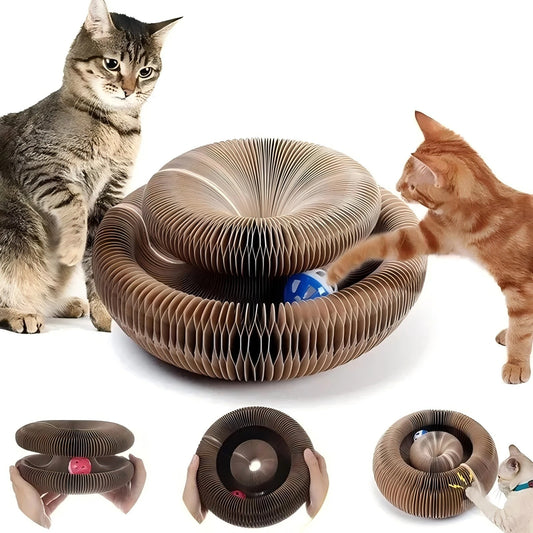 FoldPlay™ Interactive Cat Tunnel Bed