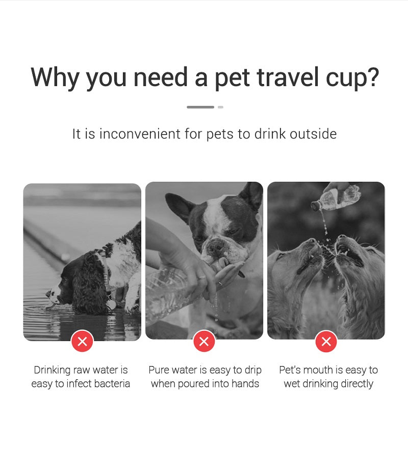 Portable Pet Hydration Bottle™